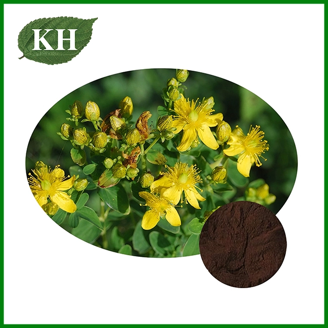 St John's Wort Extract Powder